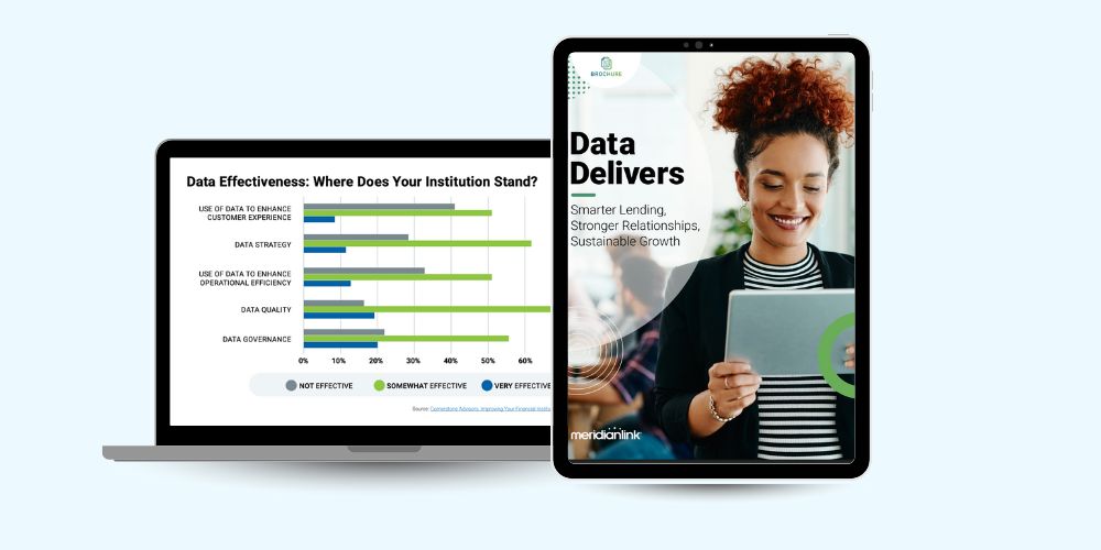 MeridianLink Data Delivers Brochure
