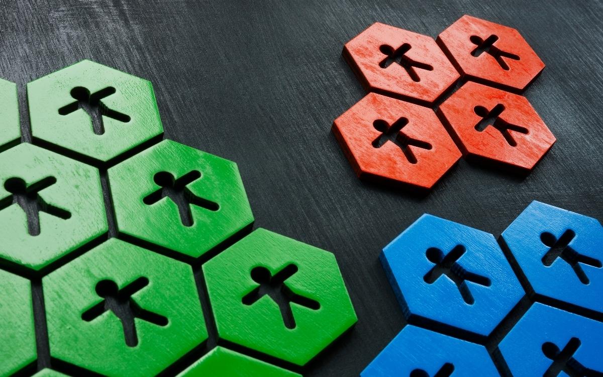 segmentation