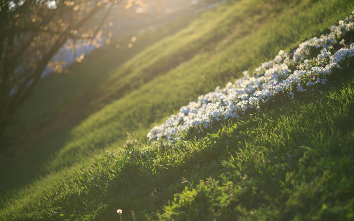 spring