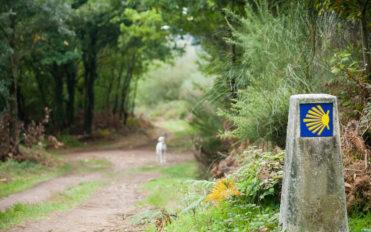 Camino