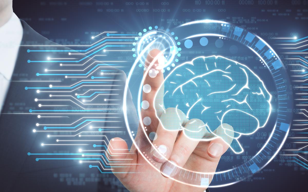 human intelligence